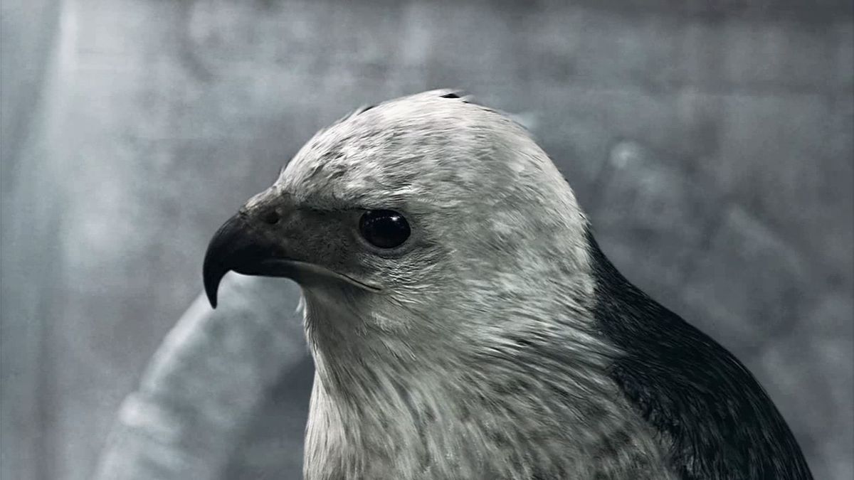 Assassin's Creed Anthology screenshot 4 for Playstation 3